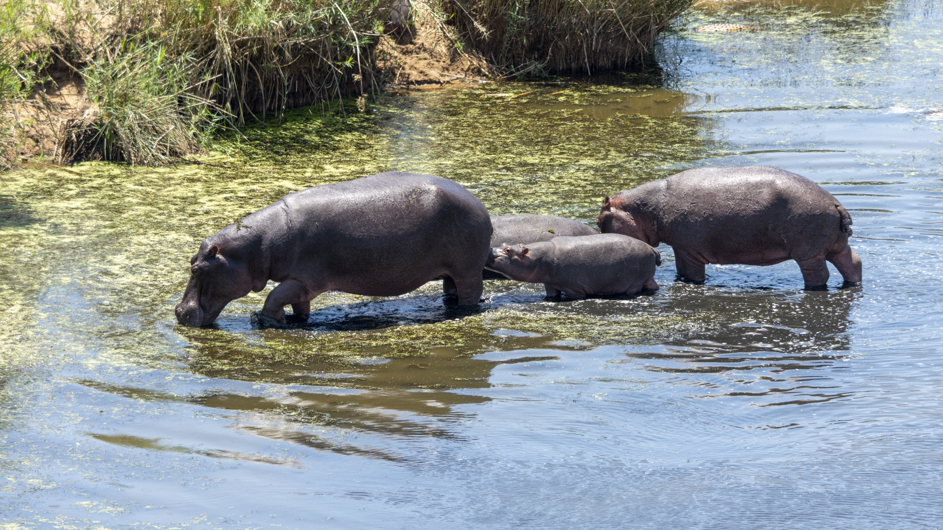 Kruger25 2025 11 01 10 50 25 ILCE 1M2 2729